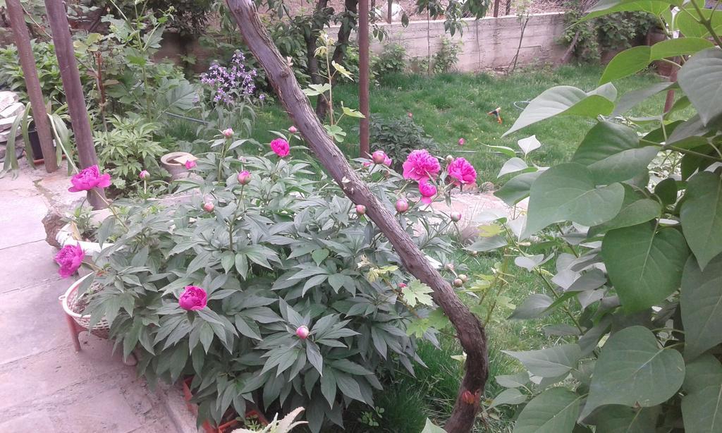 Guest House Ucha Mtsʼkhetʼa 외부 사진