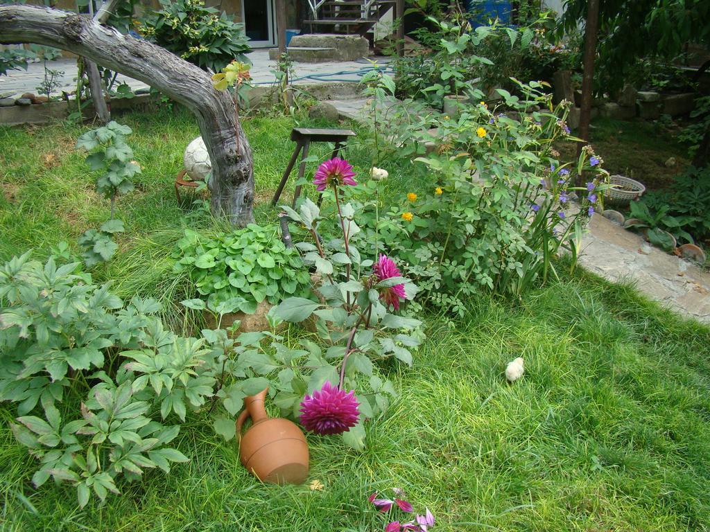 Guest House Ucha Mtsʼkhetʼa 외부 사진