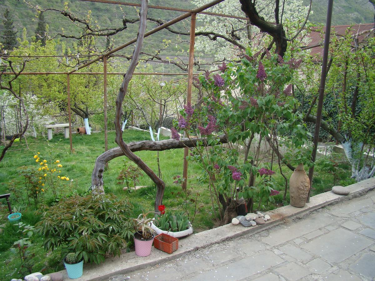 Guest House Ucha Mtsʼkhetʼa 외부 사진