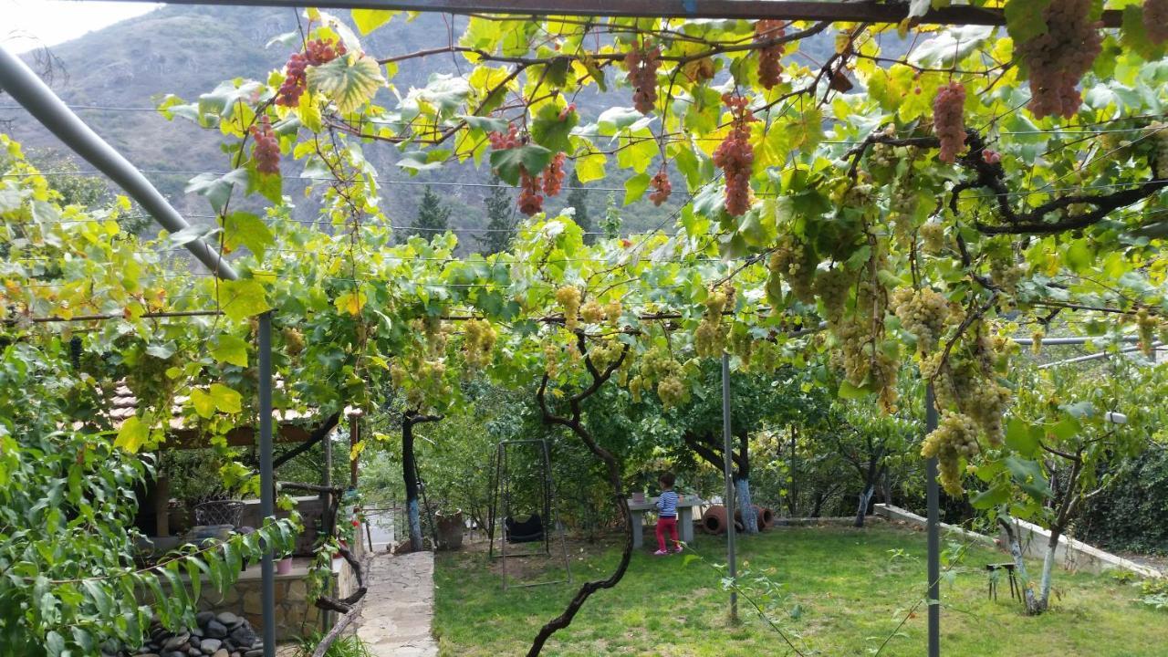 Guest House Ucha Mtsʼkhetʼa 외부 사진