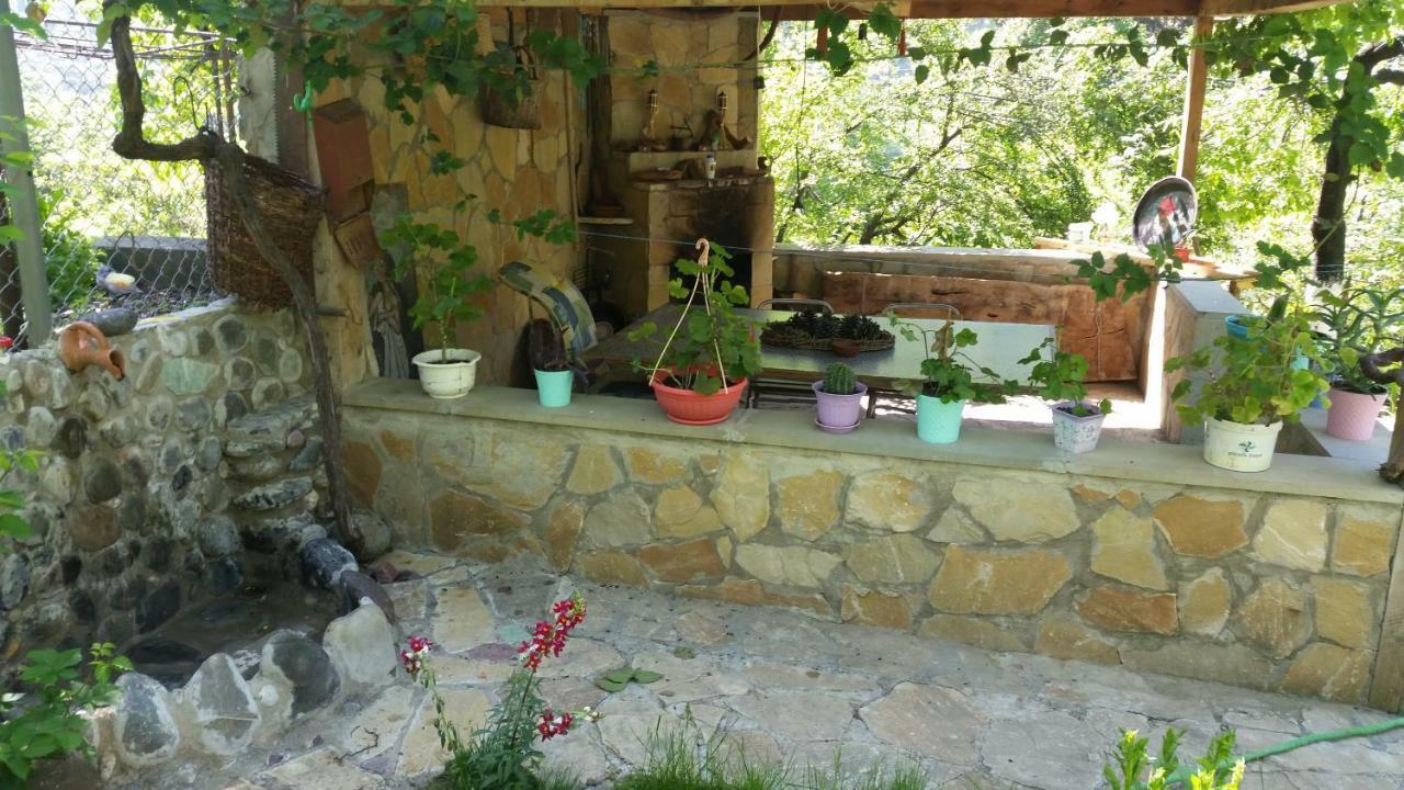 Guest House Ucha Mtsʼkhetʼa 외부 사진