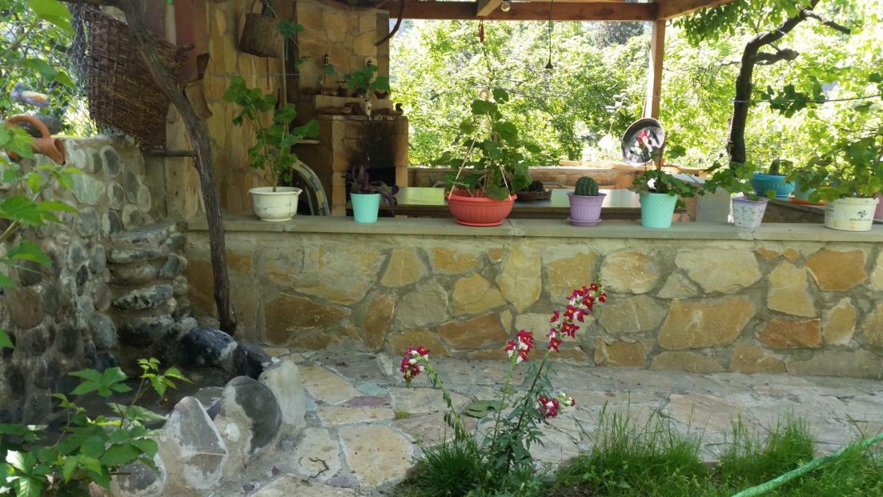 Guest House Ucha Mtsʼkhetʼa 외부 사진