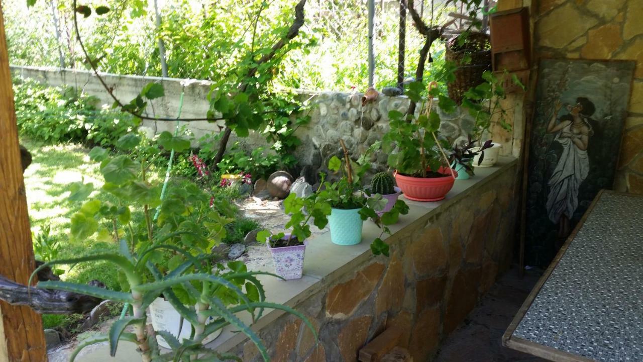 Guest House Ucha Mtsʼkhetʼa 외부 사진