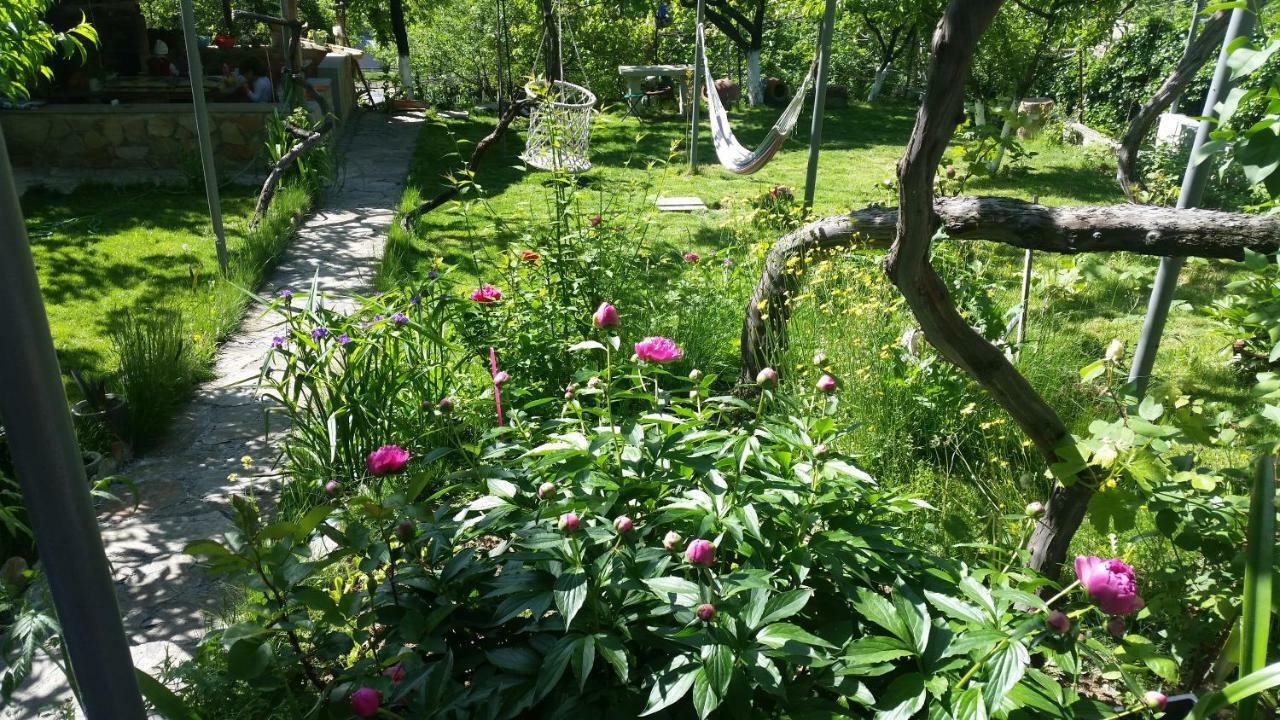 Guest House Ucha Mtsʼkhetʼa 외부 사진