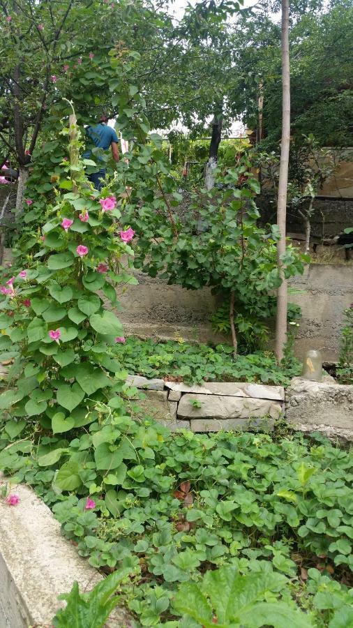 Guest House Ucha Mtsʼkhetʼa 외부 사진